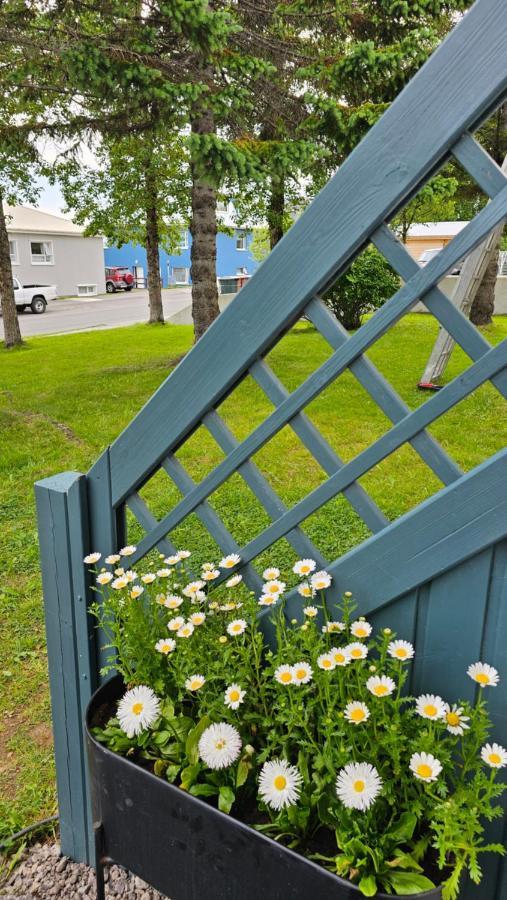 B&B Rooms Husavik 1 Exterior foto